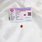 Load image into Gallery viewer, Coral Semi Precious Stone: Ease Emotional Distress - Love Rocks