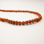 Load image into Gallery viewer, Rudraksh Japamala: Personality Charming