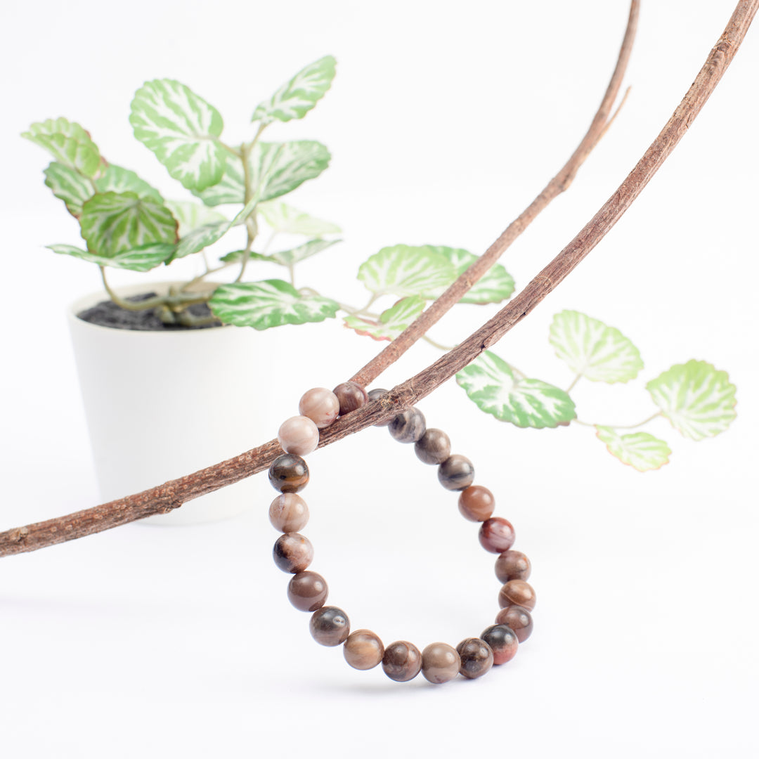 Fossilized Wood Crystal Bracelet: stabilises emotions