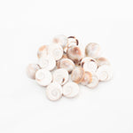Load image into Gallery viewer, Gomati Chakras - Small