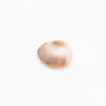Load image into Gallery viewer, Gomati Chakras - Small