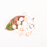 Load image into Gallery viewer, Gomati Chakras - Small