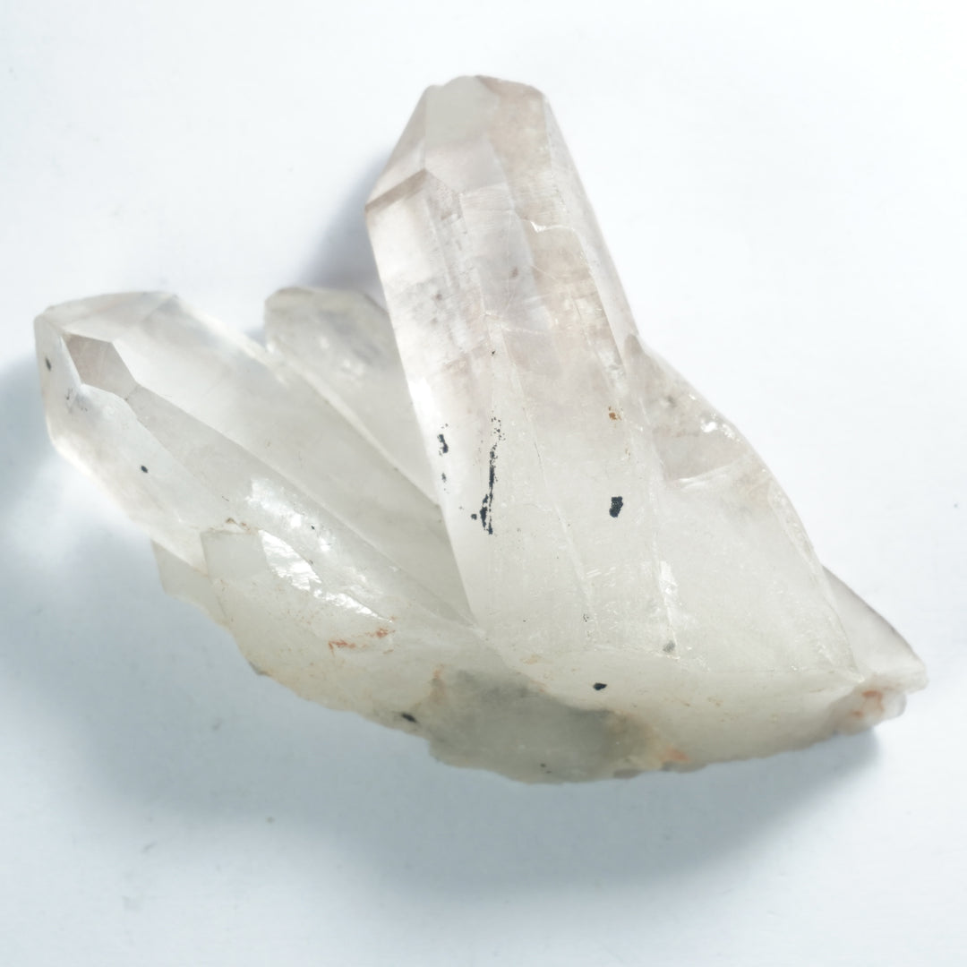 Lemurian Seed Natural Stone