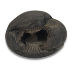 Load image into Gallery viewer, Shaligram Natural Stone