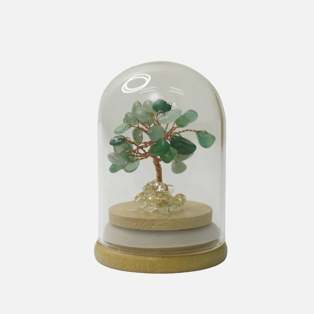 Green Aventurine Crystal Tree (Glass Covered): Prosperity & Luck