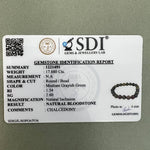 Load image into Gallery viewer, Blood Stone Bracelet: Round Beads  8mm