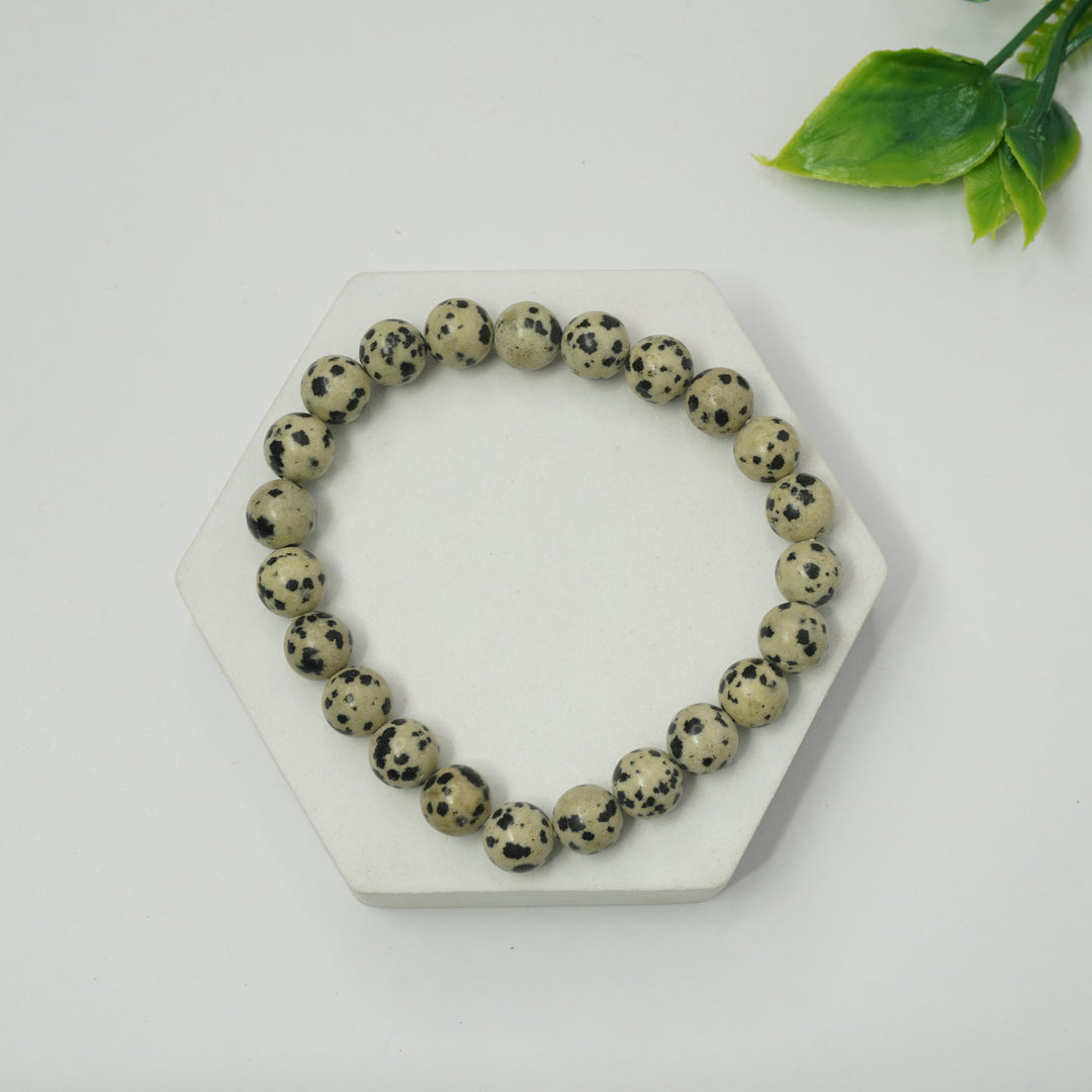 Dalmatian Bracelet: calming