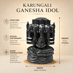 Load image into Gallery viewer, Karungali Ganesha Idol
