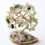 Load image into Gallery viewer, Prehnite Crystal Tree Agate Base