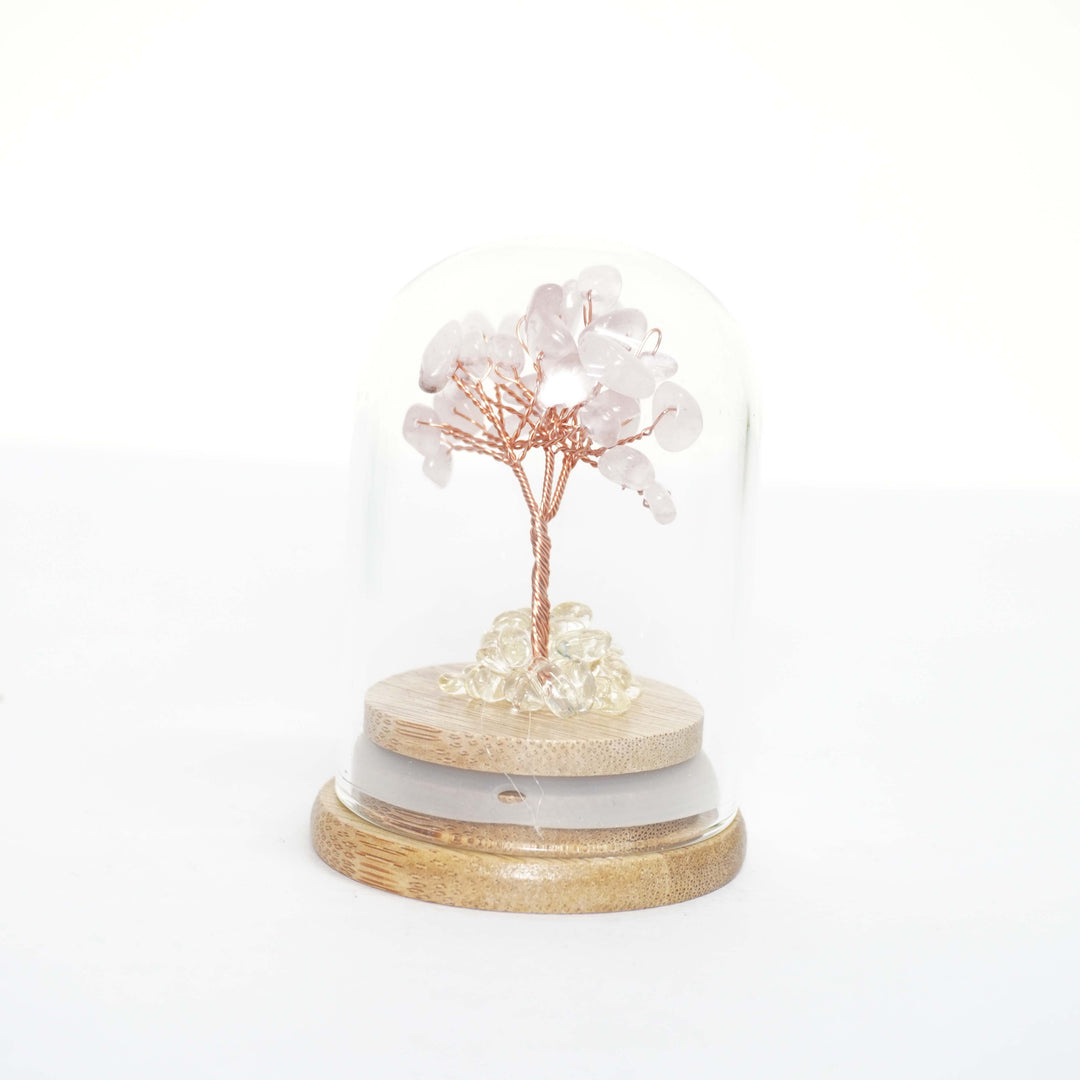 Rose Quartz Crystal Tree - Glass Covered
