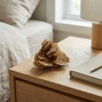 Load image into Gallery viewer, Rose Desert Natural Stone