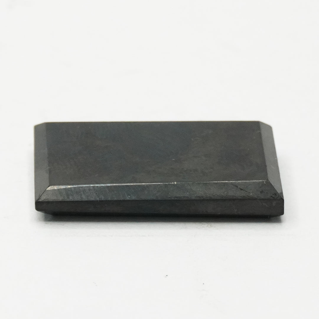 Shungite Chip