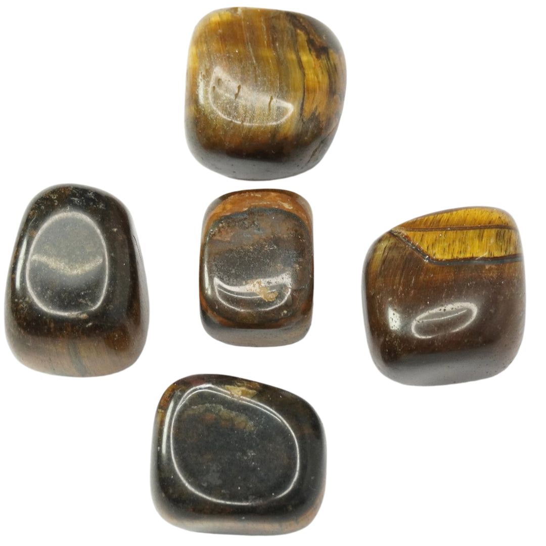 Tiger's Eye Tumbled Stone