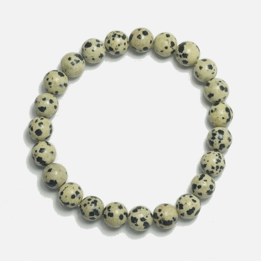 Dalmatian Bracelet: calming