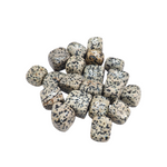 Load image into Gallery viewer, Dalmatian Tumbled Stone
