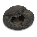 Load image into Gallery viewer, Shaligram Natural Stone
