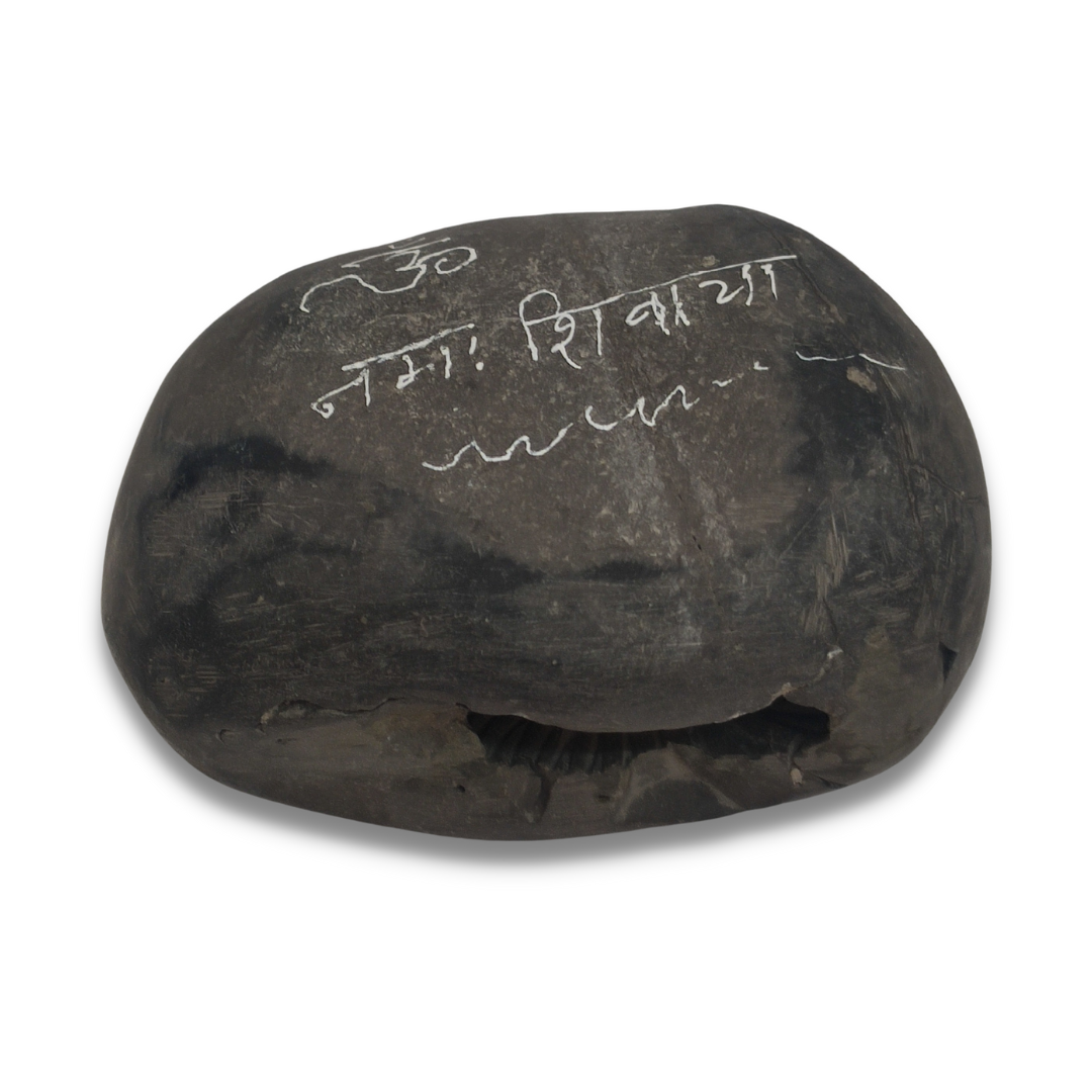 Shaligram Natural Stone